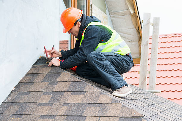Best Roof Gutter Cleaning  in Seneca, KS